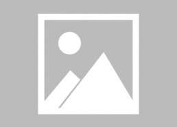 蓝猫娱乐圈吃瓜