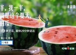 吃瓜娱乐图片文案大全,揭秘热门图片文案背后的趣味与真相