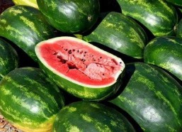 娱乐吃瓜视频模板大全,吃瓜视频模板大全，带你领略幕后花絮！